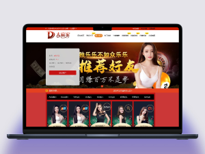 可二次开发的NET语言程序、双面盘带手机版