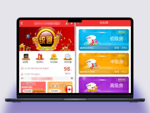 一款完整开源的28系统源码，包含NET开发及代理功能