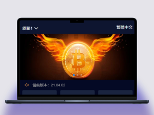 VUE伪交易大厅PC28源码以及客服系统的微交易理财系统后台控杀