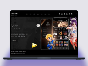 金沙娱LE菠菜系统金沙集团程序源码模板API+USDT支付
